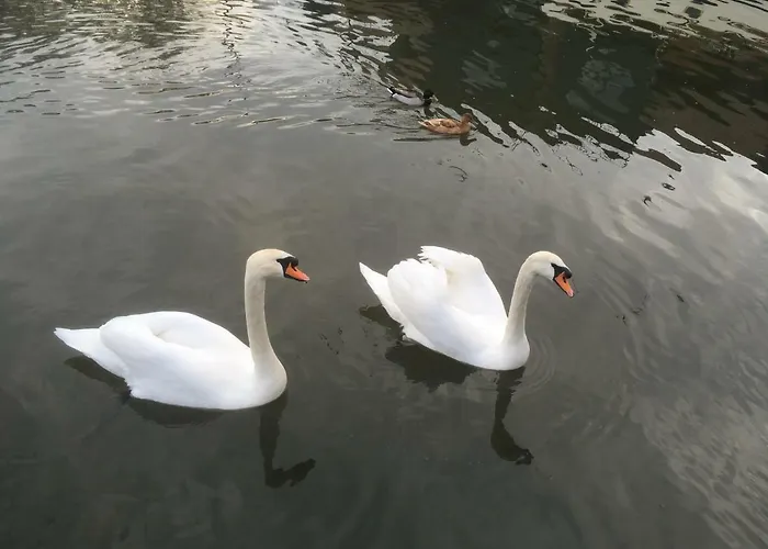 La Bigoudène * Wambrechies